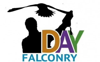 falconry