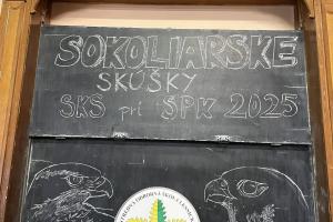 sokol_skusky_25_3.jpg