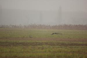 IMG_2582.JPG