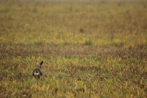 IMG_2599.JPG