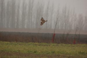 IMG_2641.JPG